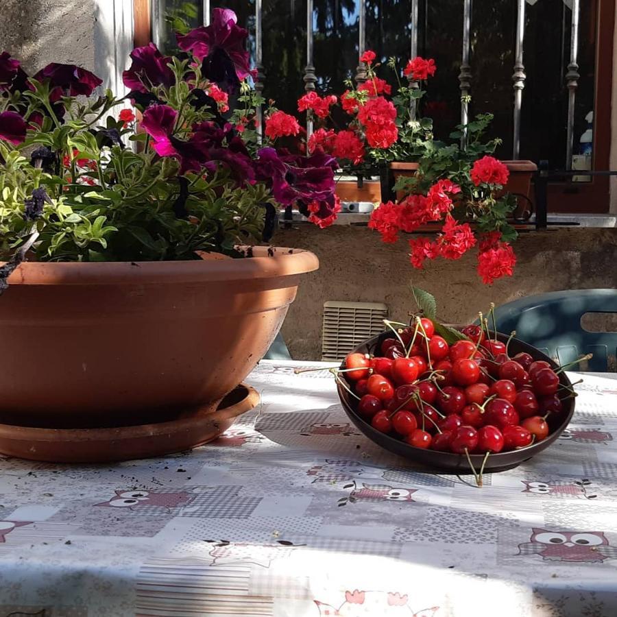B&B Mamma Ari Fermo Esterno foto